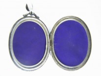 Silver Swallow & Butterfly Locket