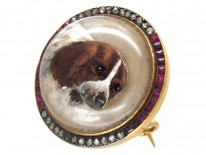 Spaniel Crystal, Ruby & Diamond Brooch