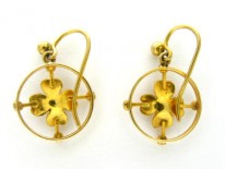 Gold Drop Flower Earrings