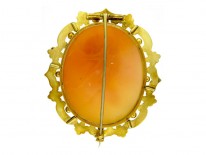 Shell Cameo of Man's Head