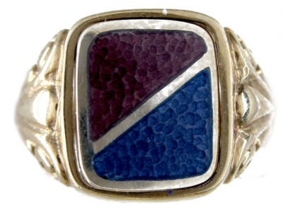 Swivel Enamel Ring