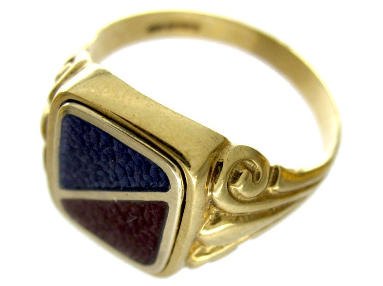 Swivel Enamel Ring