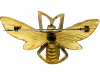 Carved Horn Art Nouveau Bug