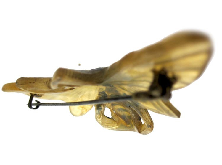 Carved Horn Art Nouveau Bug