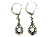 Silver & Blue Paste Drop Earrings