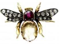 Gem Set Bug Brooch