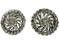 Paste Silver Earrings