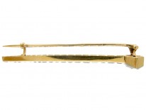 Horseshoe Nail Sapphire & Diamond Brooch