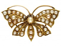Butterfly Brooch