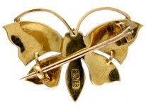 Butterfly Brooch