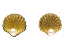 Shell Gold Earrings