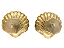 Shell Gold Earrings
