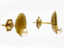 Shell Gold Earrings
