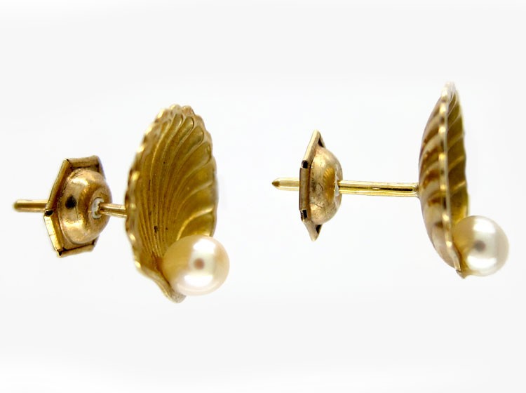 Shell Gold Earrings