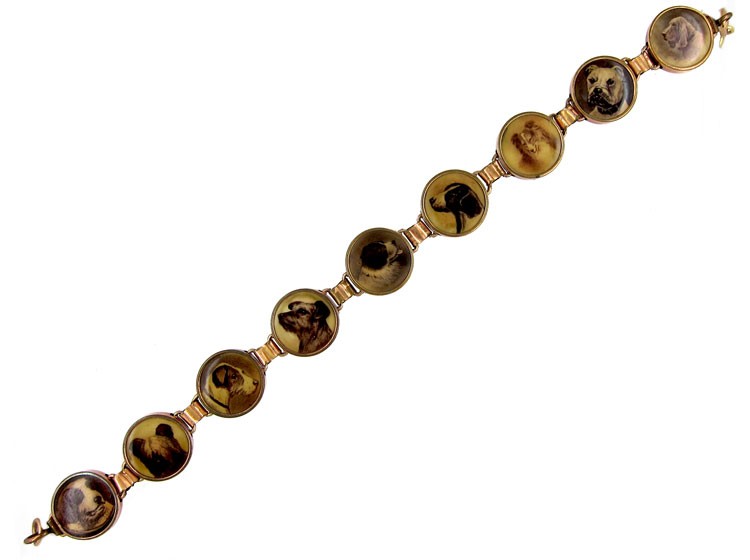 Dog Bracelet