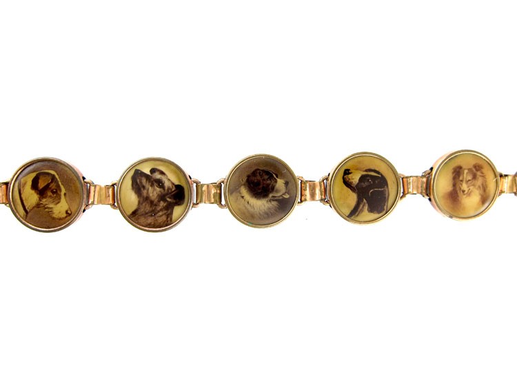 Dog Bracelet