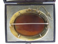 Neo Classical Shell Cameo in Original Case
