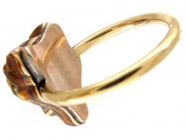 Tiger's Head Ring