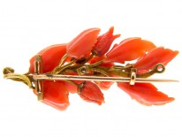 Carved Coral Flower Brooch