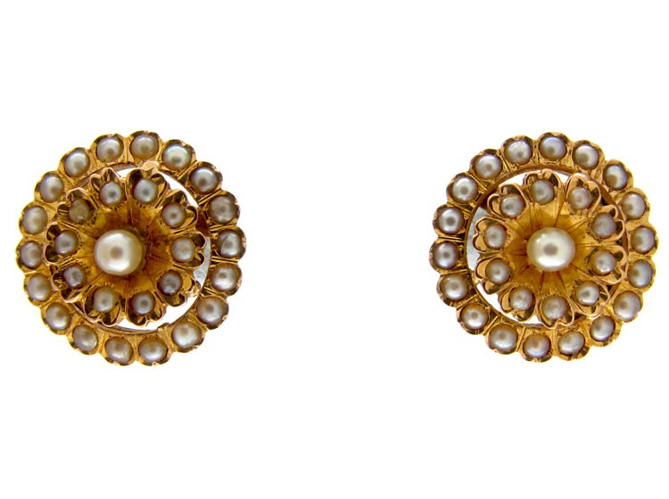 Pearl & Gold Earrings