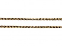 Georgian Snake Clasp Gold Chain