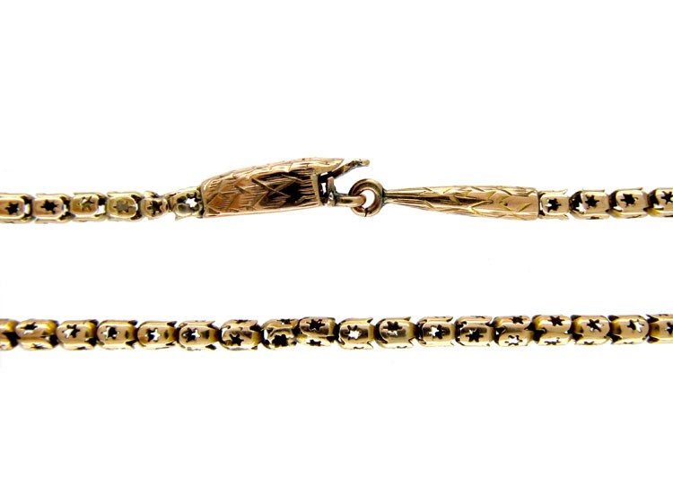 Georgian Snake Clasp Gold Chain