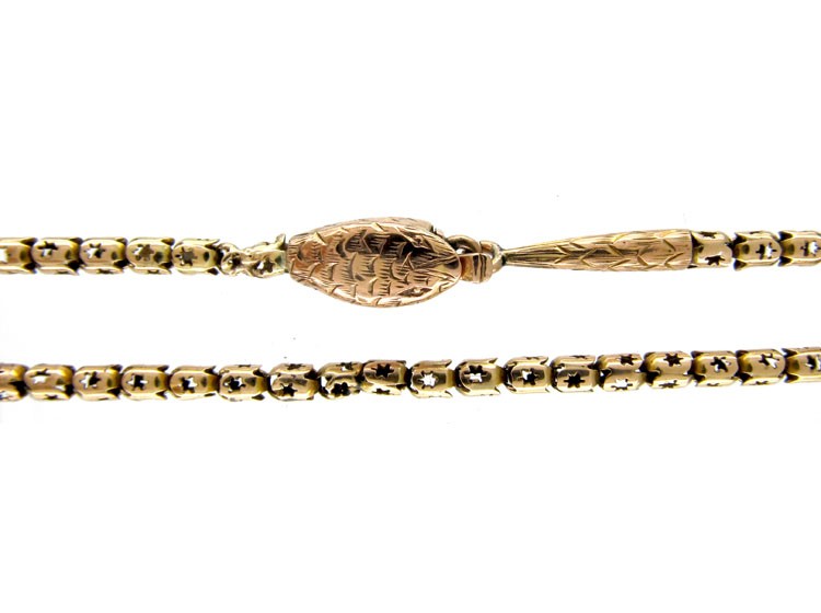 Georgian Snake Clasp Gold Chain