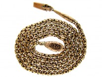Georgian Snake Clasp Gold Chain