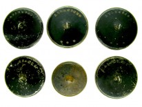 Set of Six German Castle Buttons