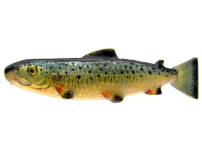 Gold & Enamel Edwardian Trout Brooch