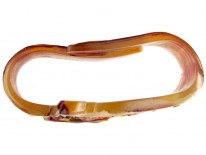 Art Nouveau Carved Horn Swallow Scarf Clip