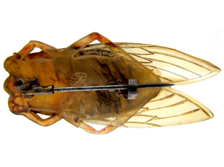 Art Nouveau Carved Horn Cicada Insect Brooch