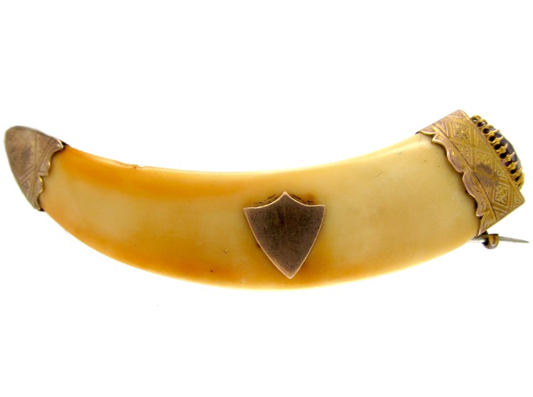 Bone & Gold Brooch
