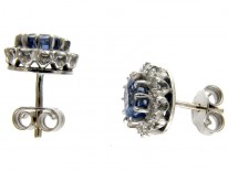 Ceylon Sapphire & Diamond Cluster Earrings