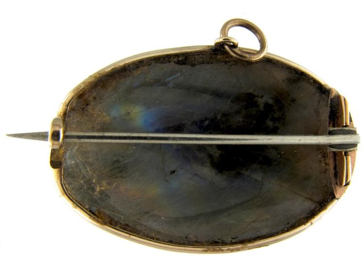 Large Labradorite Bug Brooch