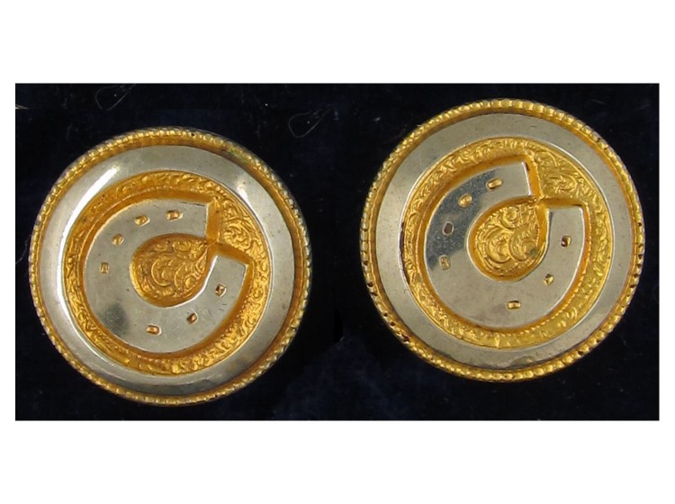 Victorian Silver Gilt Studs in Original Case