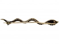 Georgian Diamond & Ruby Snake Brooch