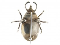 Georgian Silver & Crystal Beetle Brooch