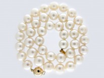 Single Row Pearl Necklace