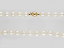 Single Row Pearl Necklace