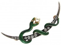 Victorian Enamel Snake & Diamond Crescent Brooch