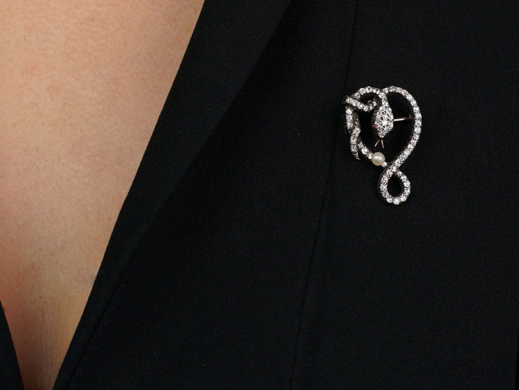 Victorian Diamond Snake Brooch