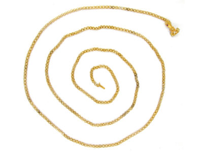 Georgian 18ct Gold Long Chain with Three colour Gold Hand Clasp