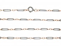 Edwardian Silver, Gold & Niello Guard Chain