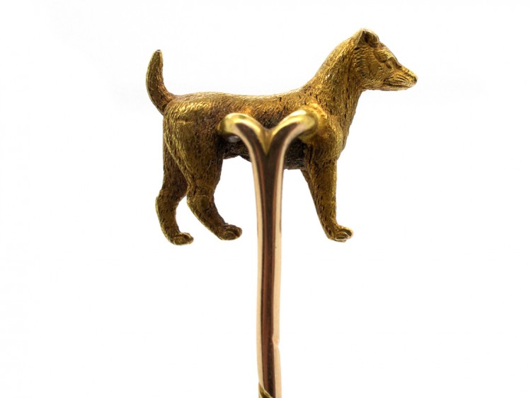 Edwardian 15ct Gold Jack Russell Terrier Tie Pin