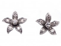 18ct White Gold & Diamond Flower Earrings