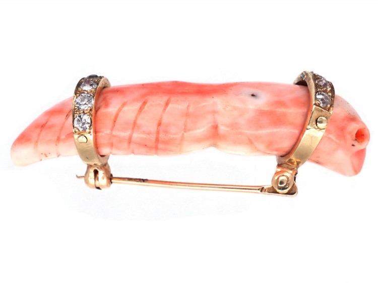 Australian Witchetee Coral & Diamond Bug Brooch