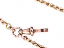 Edwardian 9ct Gold Prince of Wales Twist Long Guard Chain