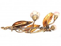 Georgian Botanical Two Colour Gold & Coral Flower Brooch