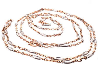 Edwardian 18ct Gold & Platinum Long Guard Chain